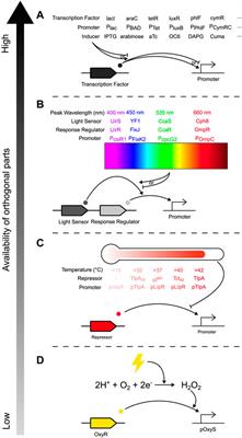 Cybergenetic control of microbial community composition